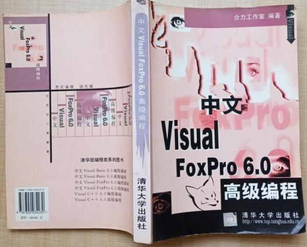 中文Visual FoxPro 6.0高級(jí)編程