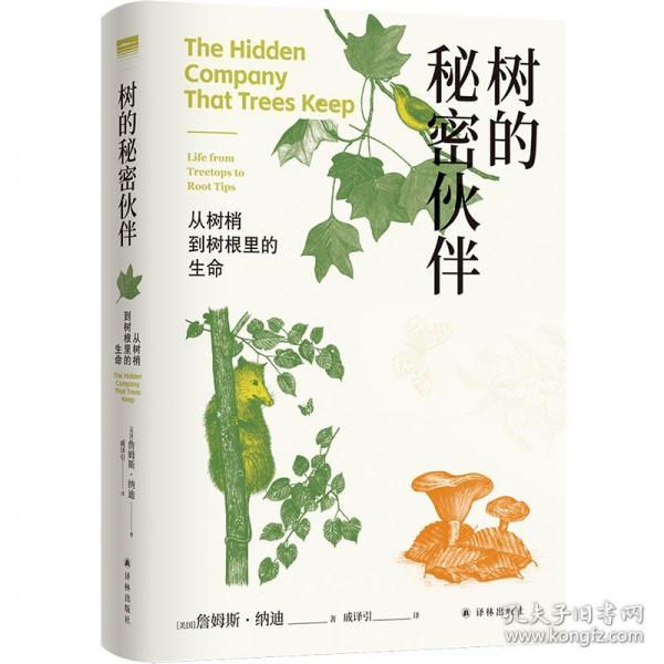 “天際線”叢書~樹的秘密伙伴：從樹梢到樹根里的生命