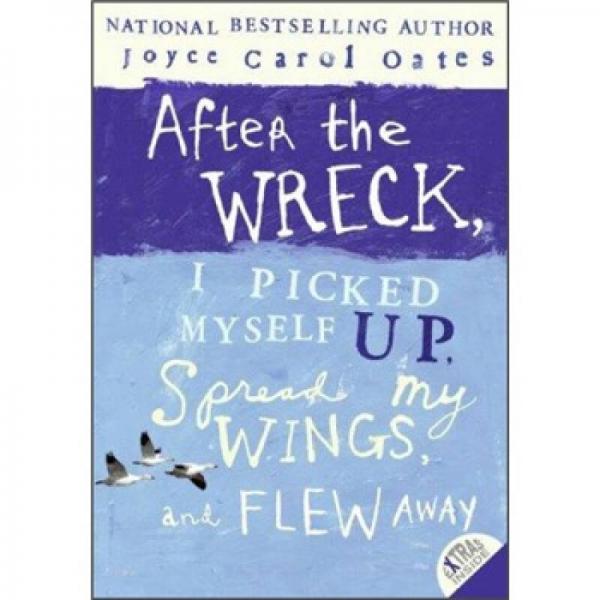 After the Wreck I Picked Myself Up Spread My Wings and Flew Away
