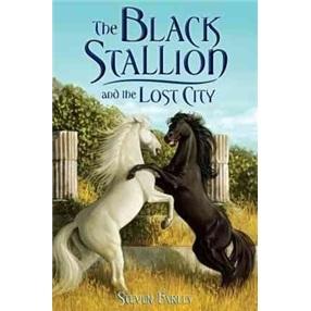 TheBlackStallionandtheLostCity
