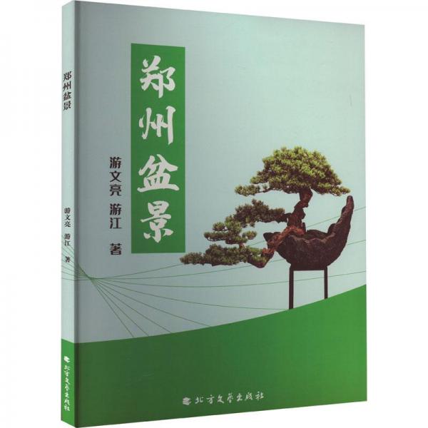鄭州盆景