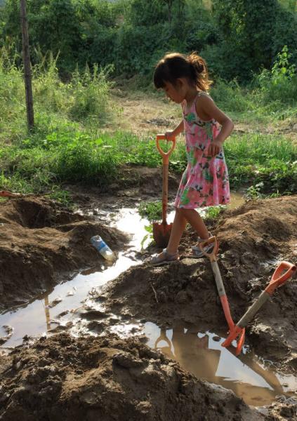 自由疯长：一段充满意趣和勇气的教养历程