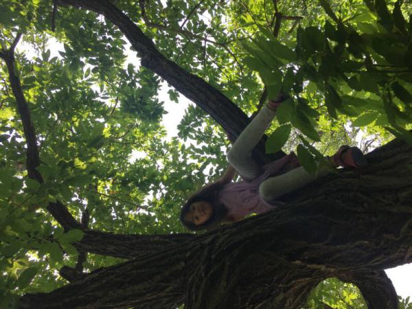 自由疯长：一段充满意趣和勇气的教养历程