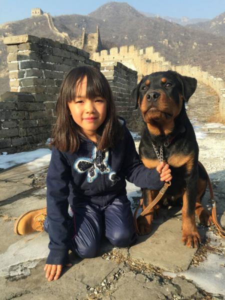 自由疯长：一段充满意趣和勇气的教养历程