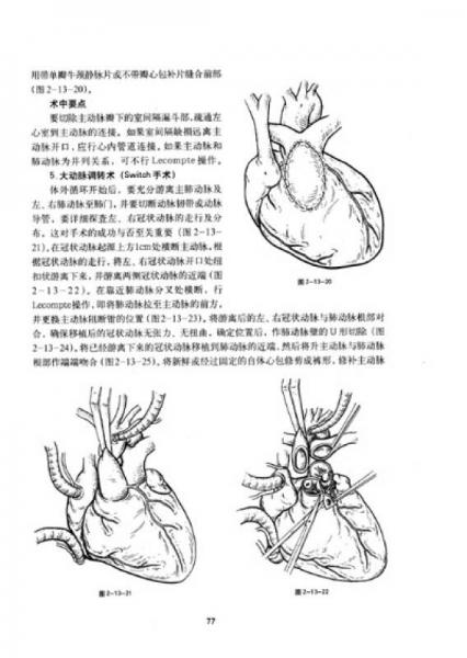 实用系列手术学图谱：心脏外科手术图谱
