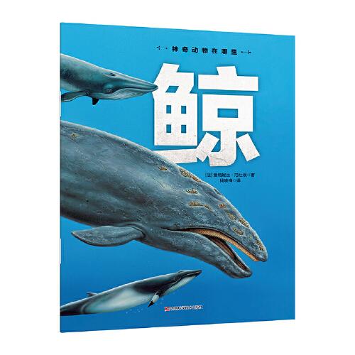 神奇動物在哪里-鯨