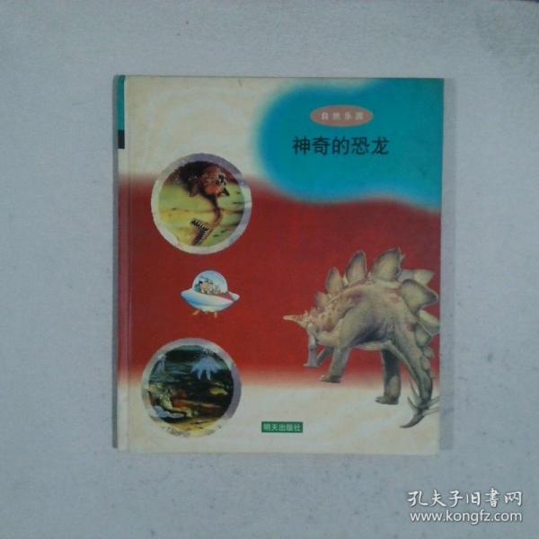 自然樂園：神秘的宇宙