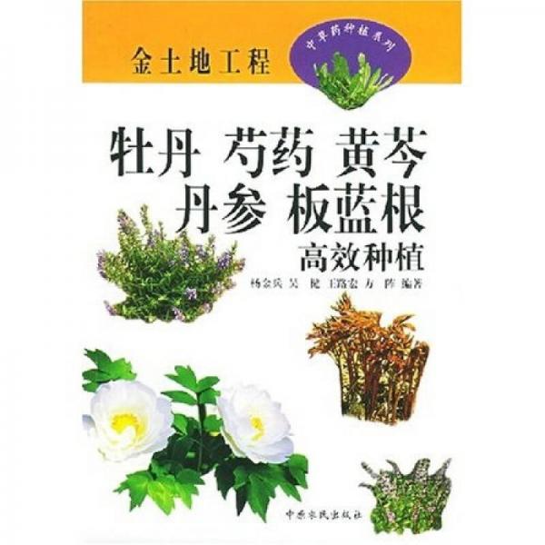 金土地工程：牡丹、芍藥、黃芩、丹參、板藍(lán)根高效種植