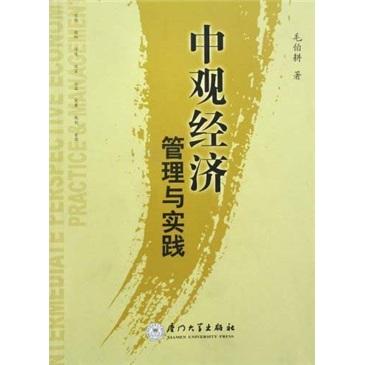 中觀經(jīng)濟(jì)管理與實(shí)踐