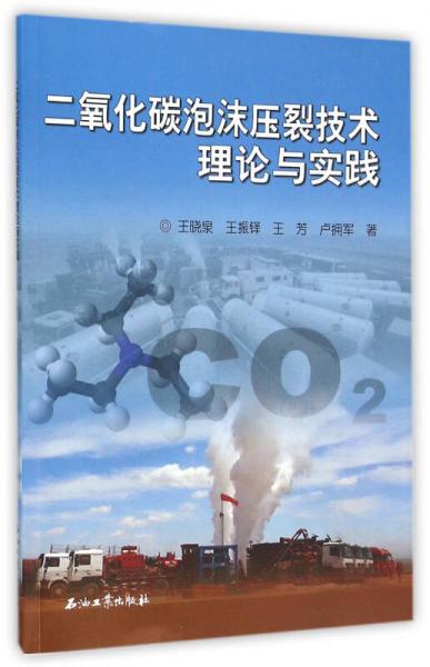 二氧化碳泡沫壓裂技術(shù)理論與實踐