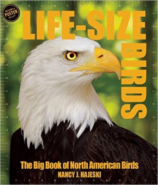 Life Size Birds: The Big Book of North American 