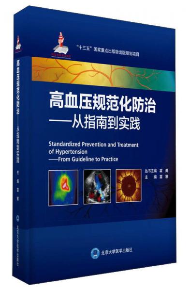 高血压规范化防治：从指南到实践/国家出版基金项目八