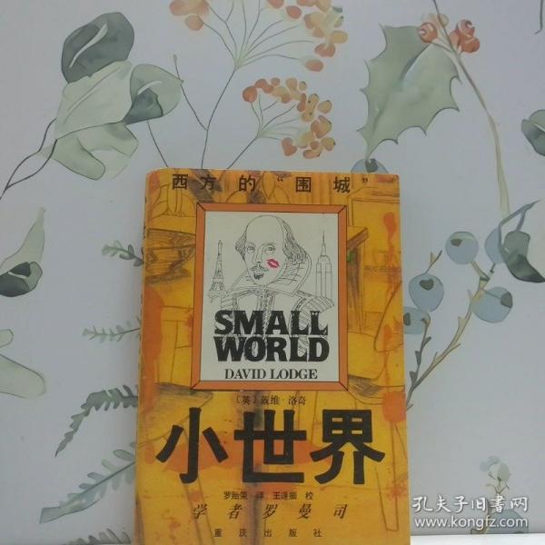 小世界:學(xué)者羅曼司