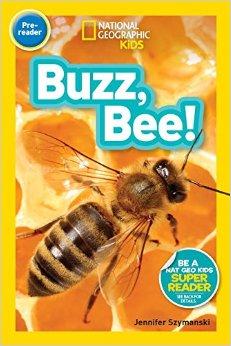 國(guó)家地理分級(jí)讀物BuzzBee進(jìn)口兒童讀物