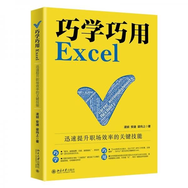 巧学巧用Excel：迅速提升职场效率的关键技能