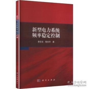 新型电力系统频率稳定控制