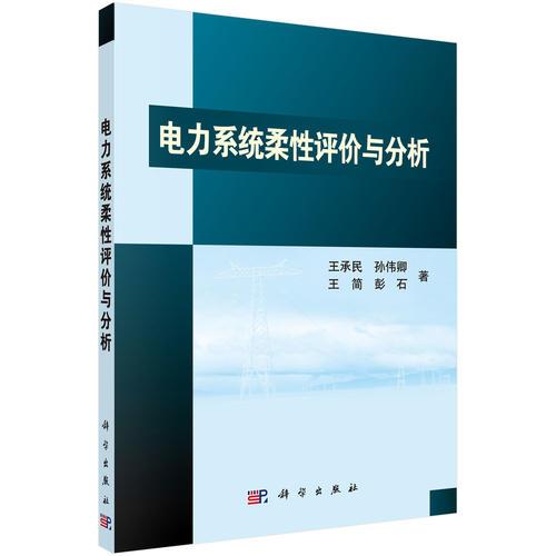 电力系统柔性评价与分析