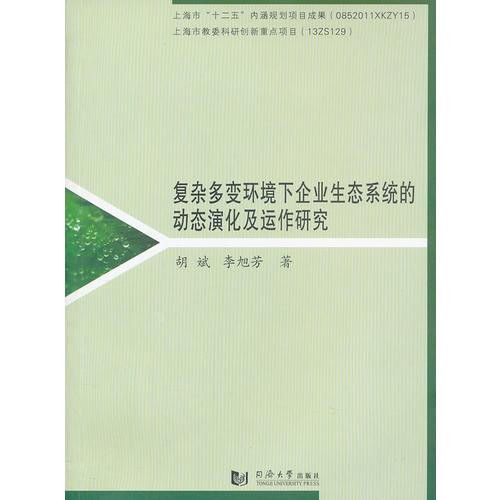 復(fù)雜多變環(huán)境下企業(yè)生態(tài)系統(tǒng)的動(dòng)態(tài)演化及運(yùn)作研究