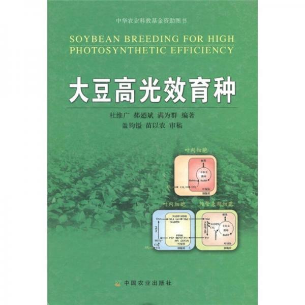 大豆高光效育種