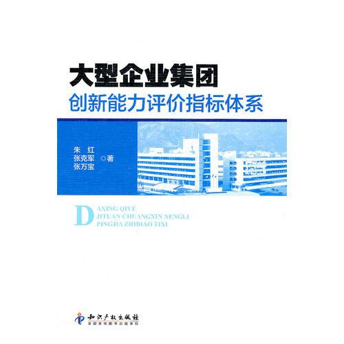 大型企業(yè)集團(tuán)創(chuàng)新能力評價指標(biāo)體系
