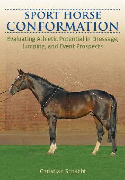 Sport Horse Conformation: Evaluating Athletic Potential in Dressage, Jumping and Eventing Prospects