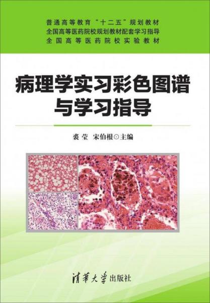 病理学实习彩色图谱与学习指导/普通高等教育“十二五”规划教材