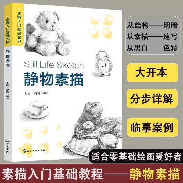 素描入門基礎(chǔ)教程——靜物素描 王恒、洪濤 編著 著