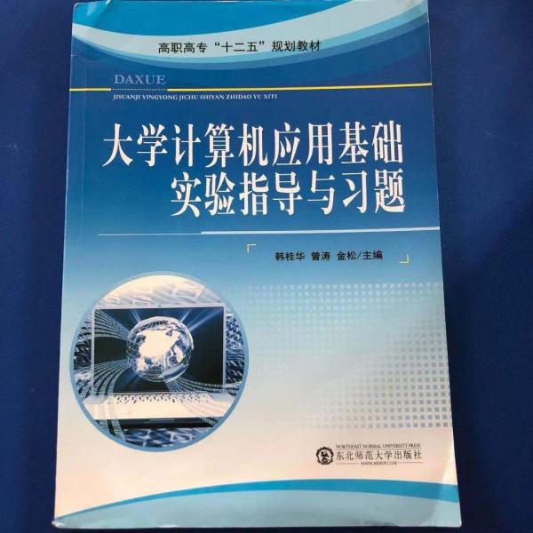 大學計算機應用基礎(chǔ)實驗指導與習題