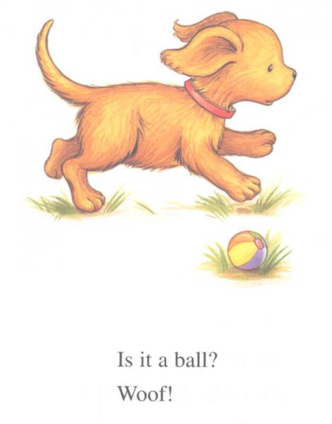 Biscuit Finds a Friend [小饼干找朋友]