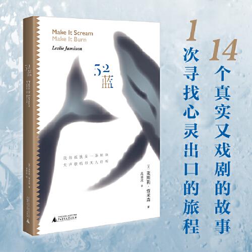 52藍（14個直擊靈魂的真實故事：關(guān)于孤獨、渴求、沉迷，關(guān)于現(xiàn)代心靈的應(yīng)急出口）