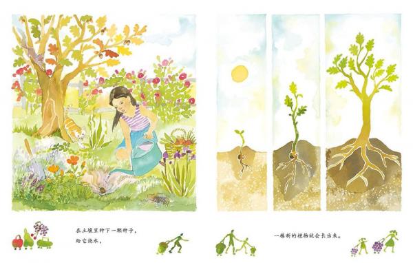 果实是种子的旅行箱精装小学科学课自然观察优选绘本