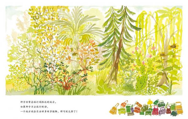 果实是种子的旅行箱精装小学科学课自然观察优选绘本