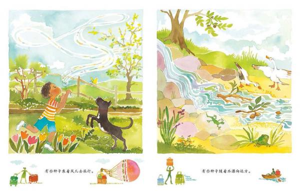 果实是种子的旅行箱精装小学科学课自然观察优选绘本