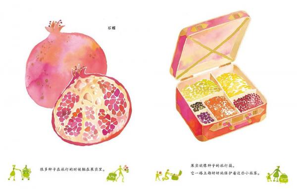 果实是种子的旅行箱精装小学科学课自然观察优选绘本