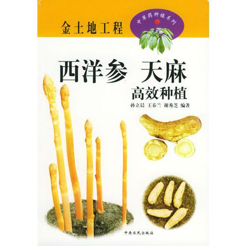 西洋參、天麻高效種植——金土地工程·中藥材種植系列