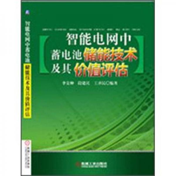 智能電網(wǎng)中蓄電池儲(chǔ)能技術(shù)及其價(jià)值評(píng)估
