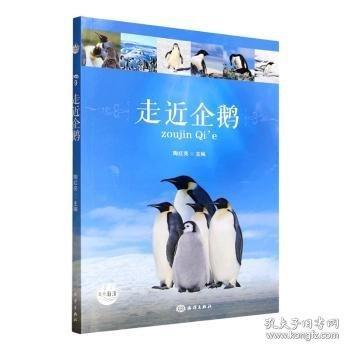 走近企鹅