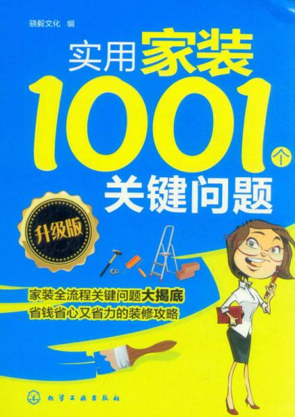 實(shí)用家裝1001個(gè)關(guān)鍵問(wèn)題（升級(jí)版）