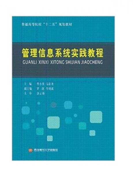 管理信息系統(tǒng)實踐教程