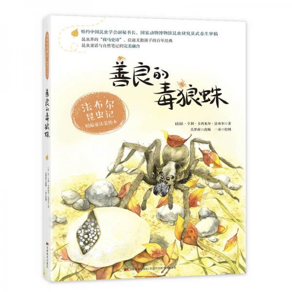 善良的毒狼蛛