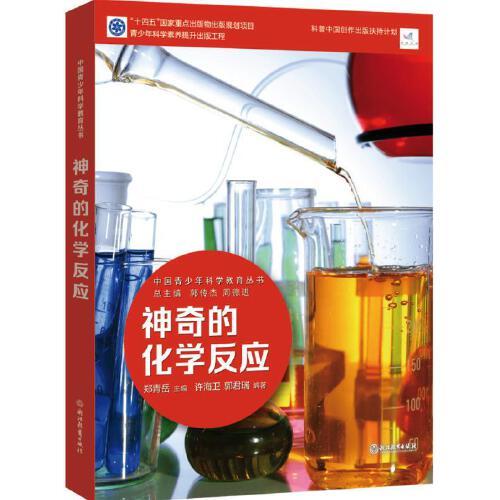 中國青少年科學教育叢書：神奇的化學反應