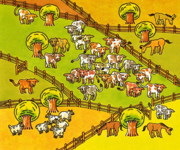 The Cow That Went OINK