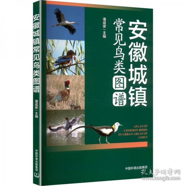 安徽城鎮(zhèn)常見鳥類圖譜