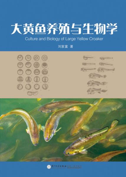 大黄鱼养殖与生物学