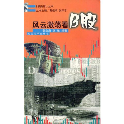 風(fēng)云激蕩看B股/B股操作小叢書