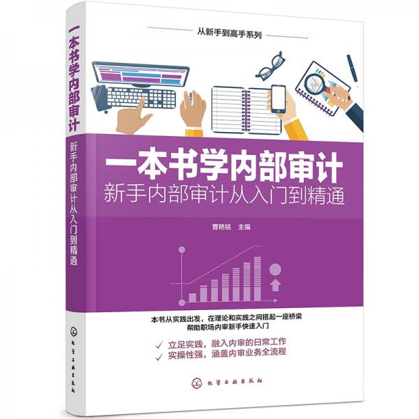 從新手到高手系列：一本書學(xué)內(nèi)部審計(jì)