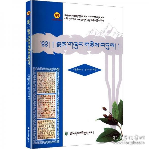 藏藥經(jīng)典:[藏文]