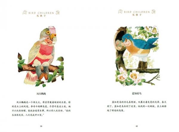 爱心屋绘本：鸟孩子