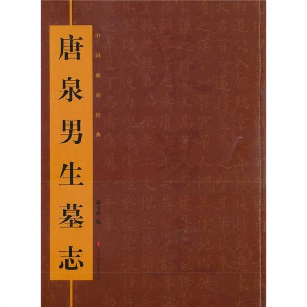 唐泉男生墓志