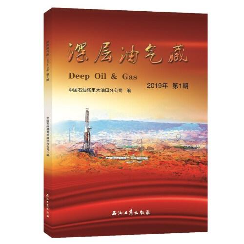 深層油氣藏2019年第1期